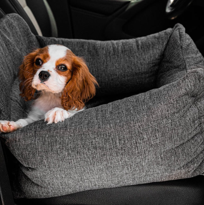 Dog Bed | Charlevoix Auto in Charlevoix MI